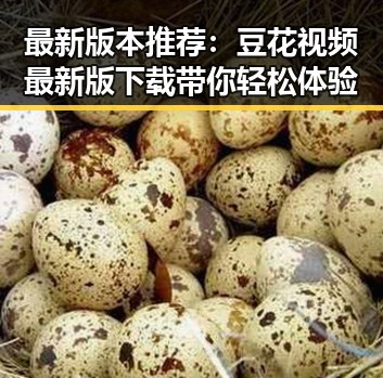 最新版本推荐:豆花视频最新版下载带你轻松体验