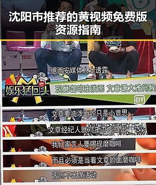 沈阳市推荐的黄视频免费版资源指南
