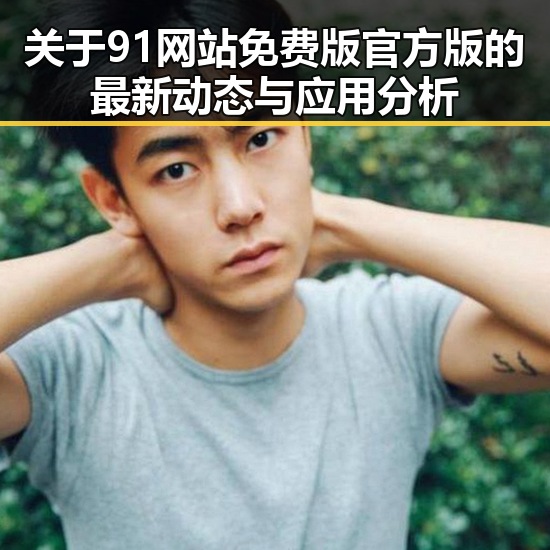 关于91网站免费版官方版的最新动态与应用分析