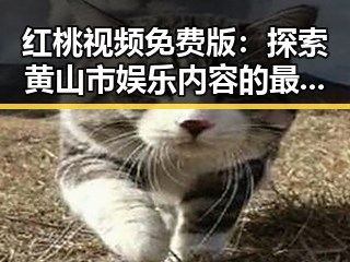 红桃视频免费版:探索黄山市娱乐内容的最新趋势