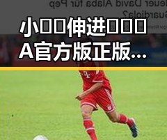 小🐔🐔伸进🈲🔞🔞A官方版正版下载：最新资源指南