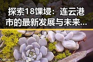 探索18馃埐：连云港市的最新发展与未来趋势