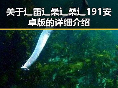 关于辶臿辶喿辶喿辶191安卓版的详细介绍