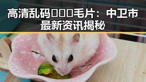 高清乱码🔞❌♋毛片：中卫市最新资讯揭秘