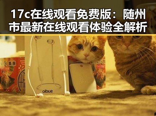 17c在线观看免费版：随州市最新在线观看体验全解析