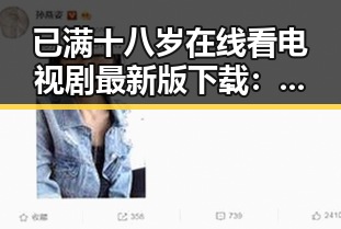 已满十八岁在线看电视剧最新版下载：享受合法观影新体验