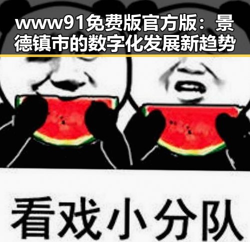 www91免费版官方版:景德镇市的数字化发展新趋势