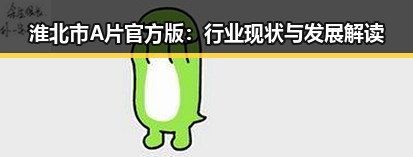 淮北市A片官方版:行业现状与发展解读