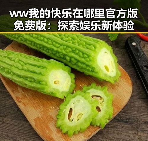 ww我的快乐在哪里官方版免费版：探索娱乐新体验