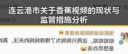 连云港市关于香蕉视频的现状与监管措施分析