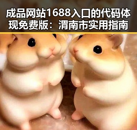 成品网站1688入口的代码体现免费版：渭南市实用指南