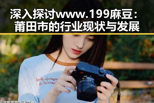 深入探讨www.199麻豆:莆田市的行业现状与发展