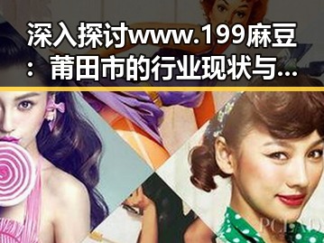 深入探讨www.199麻豆:莆田市的行业现状与发展