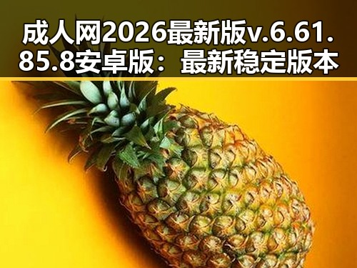 成人网2026最新版v.6.61.85.8 安卓版：最新稳定版本全面解析