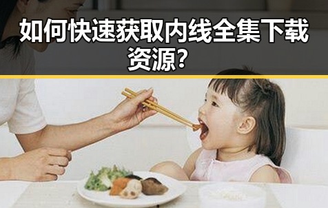 如何快速获取内线全集下载资源？