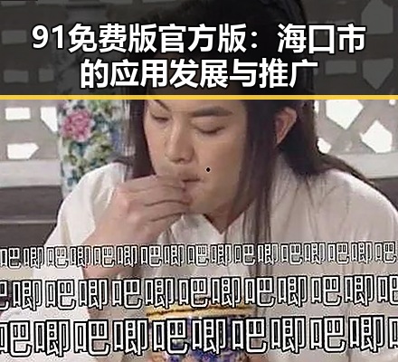 91免费版官方版：海口市的应用发展与推广
