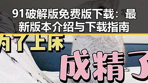 91破解版免费版下载:最新版本介绍与下载指南