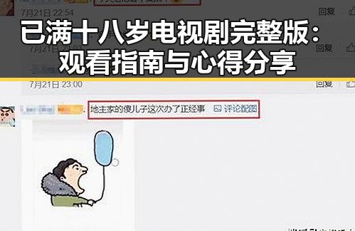 已满十八岁电视剧完整版：观看指南与心得分享