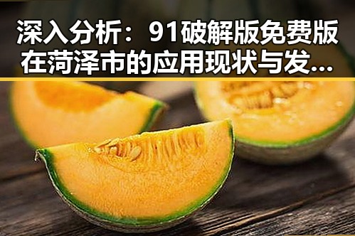 深入分析:91破解版免费版在菏泽市的应用现状与发展前景