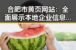 合肥市黄页网站：全面展示本地企业信息的平台