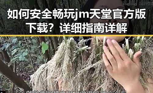 如何安全畅玩 jm天堂官方版下载？详细指南详解