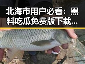 北海市用户必看：黑料吃瓜免费版下载指南与实用建议