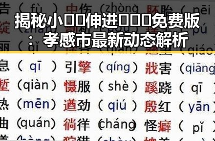揭秘小🐔🐔伸进🈲🔞🔞免费版：孝感市最新动态解析