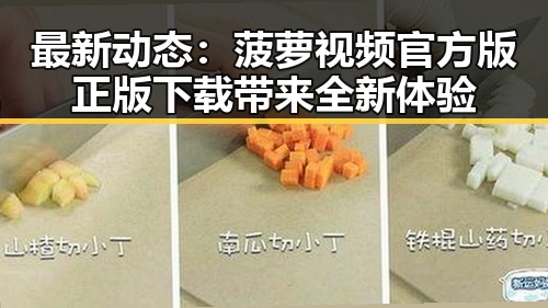 最新动态:菠萝视频官方版正版下载带来全新体验