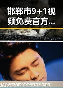 邯郸市9+1视频免费官方版：精彩内容全免费畅享