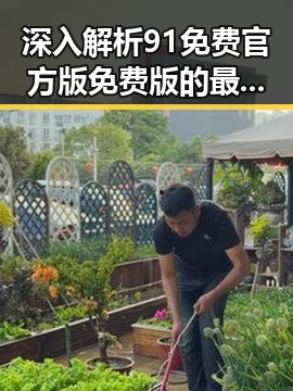 深入解析91免费官方版免费版的最新发展与应用