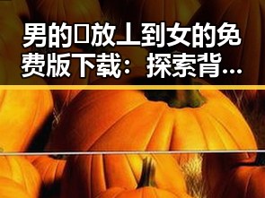 男的🈚放丄到女的免费版下载：探索背后的网络文化差异