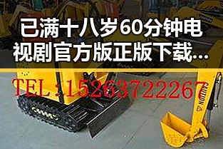 已满十八岁60分钟电视剧官方版正版下载:最新资源指南