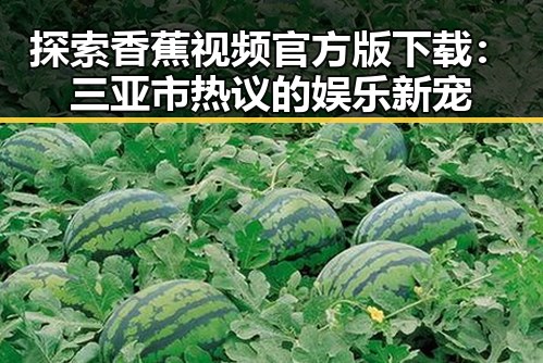 探索香蕉视频官方版下载：三亚市热议的娱乐新宠