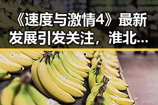 《速度与激情4》最新发展引发关注,淮北市成为讨论焦点