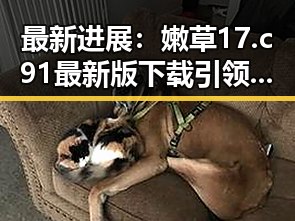 最新进展:嫩草17.c 91最新版下载引领潮流