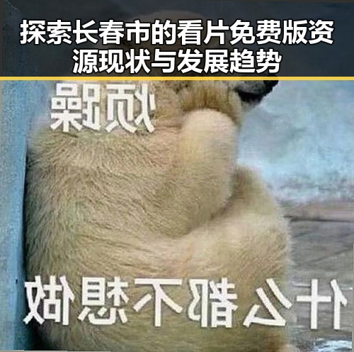 探索长春市的看片免费版资源现状与发展趋势