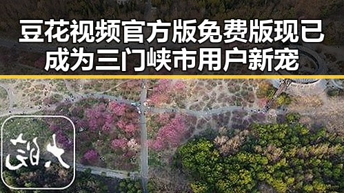 豆花视频官方版免费版现已成为三门峡市用户新宠
