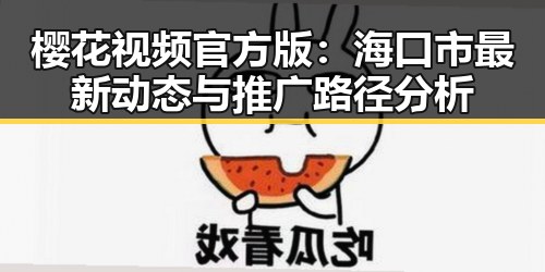 樱花视频官方版：海口市最新动态与推广路径分析