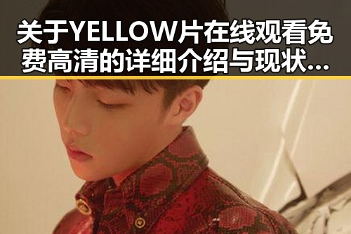 关于YELLOW片在线观看免费高清的详细介绍与现状分析