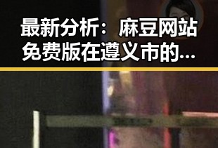 最新分析：麻豆网站免费版在遵义市的使用现状与发展前景