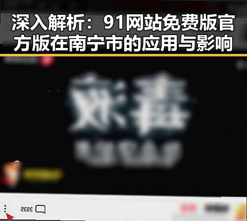 深入解析：91网站免费版官方版在南宁市的应用与影响