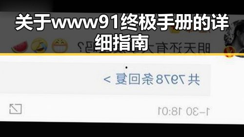 关于 www91终极手册的详细指南