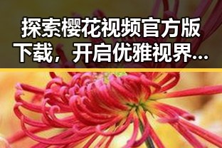 探索樱花视频官方版下载，开启优雅视界新体验