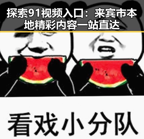 探索91视频入口：来宾市本地精彩内容一站直达