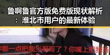 鲁啊鲁官方版免费版现状解析:淮北市用户的最新体验