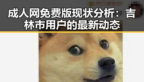 成人网免费版现状分析：吉林市用户的最新动态