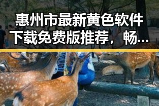 惠州市最新黄色软件下载免费版推荐，畅享安全便捷体验