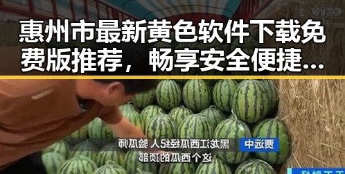 惠州市最新黄色软件下载免费版推荐,畅享安全便捷体验