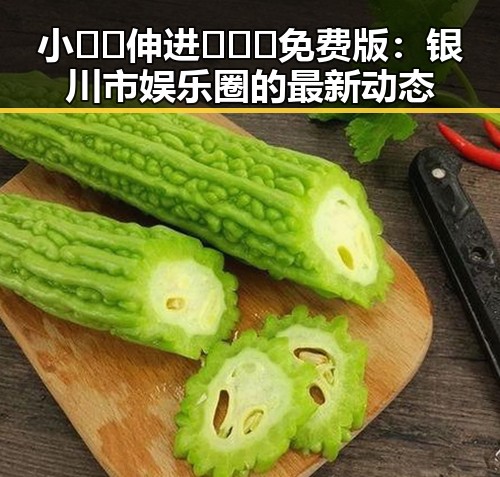 小🐔🐔伸进🈲🔞🔞免费版:银川市娱乐圈的最新动态