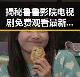 揭秘鲁鲁影院电视剧免费观看最新章节官方版免费版，沈阳市用户热议中